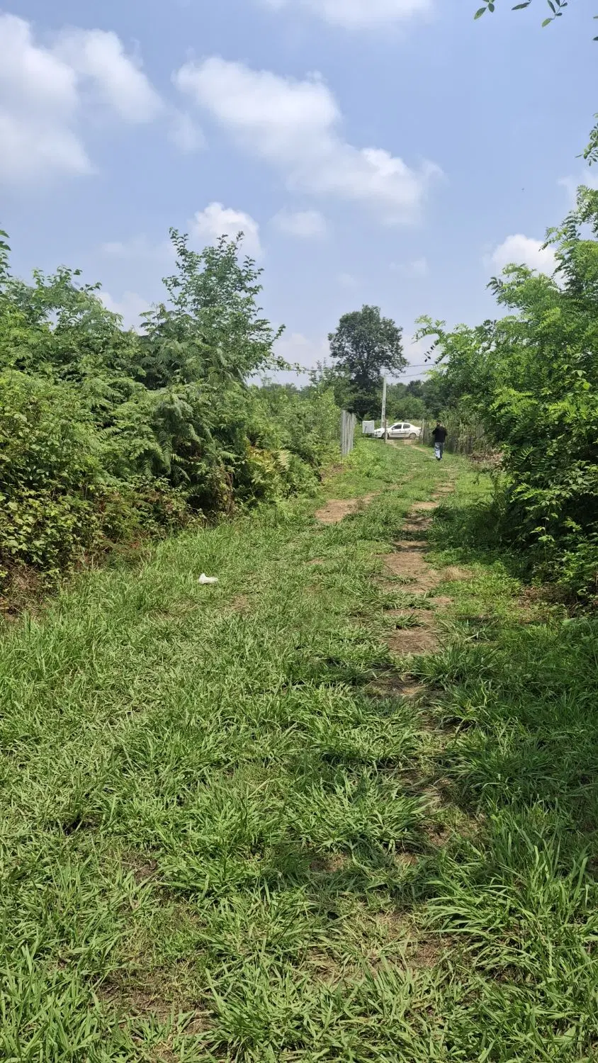 زمین کاربری باغی ۱۰۱۷ متر