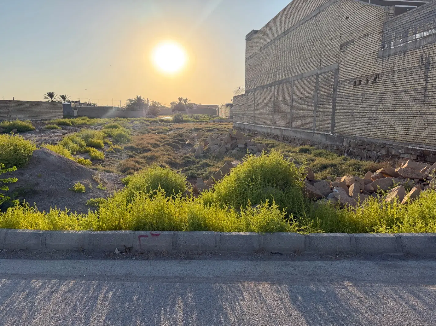 زمین در شادگان