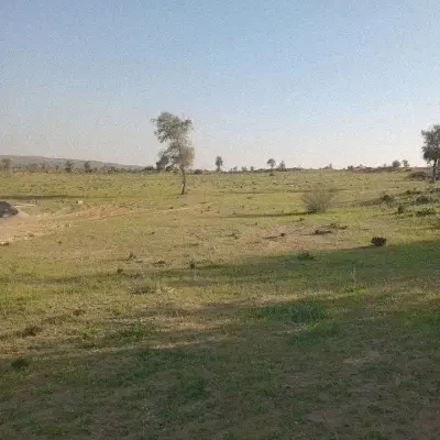 زمین فروشی