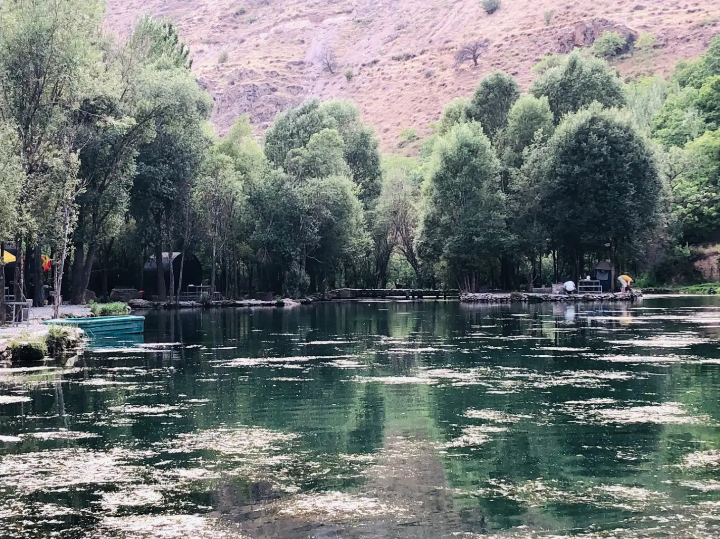 ۲۰۰ متر زمین واقع در مرکز شهر سرخرود