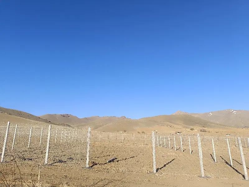 معاوضه زمین باغی با ماشین