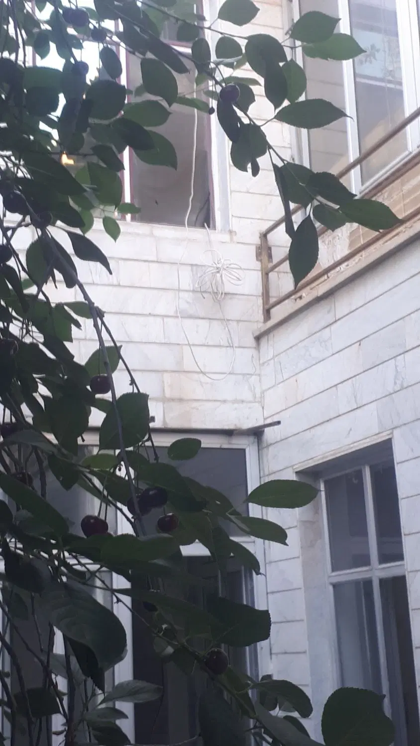 ساختمان دوطبقه ۳۱۰ متر درجام جم کوچه قدس