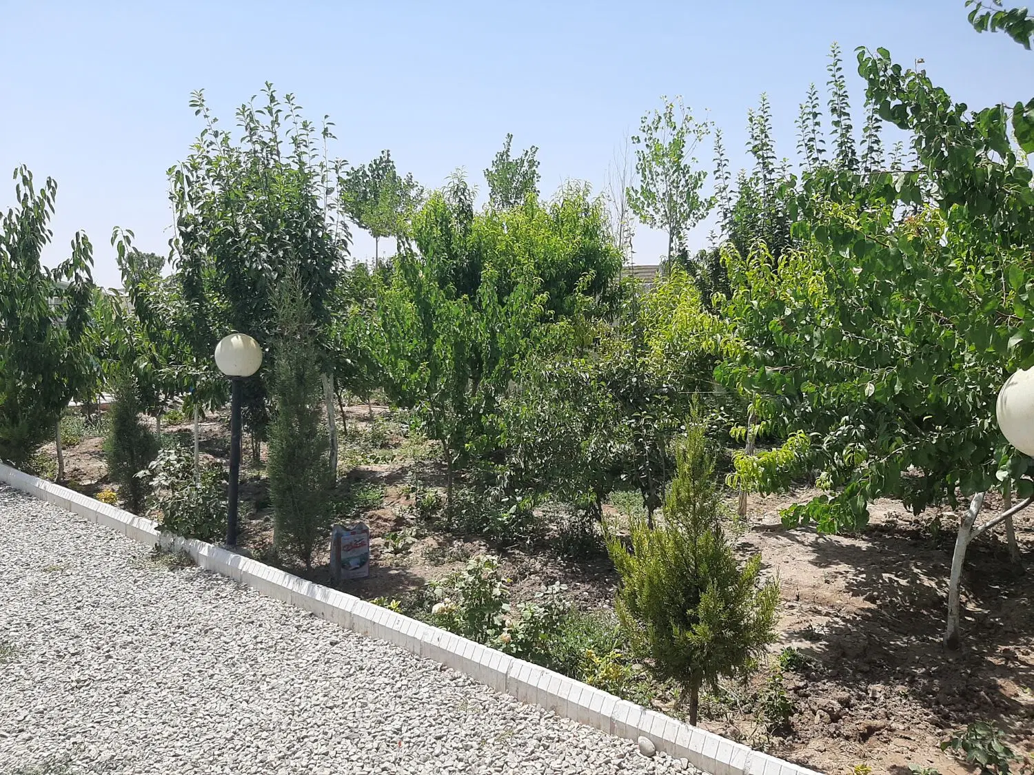 باغ ویلا