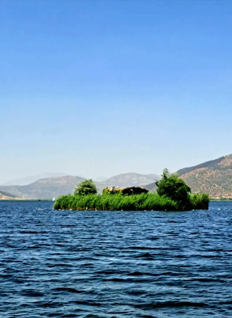 ایرانمهر یک