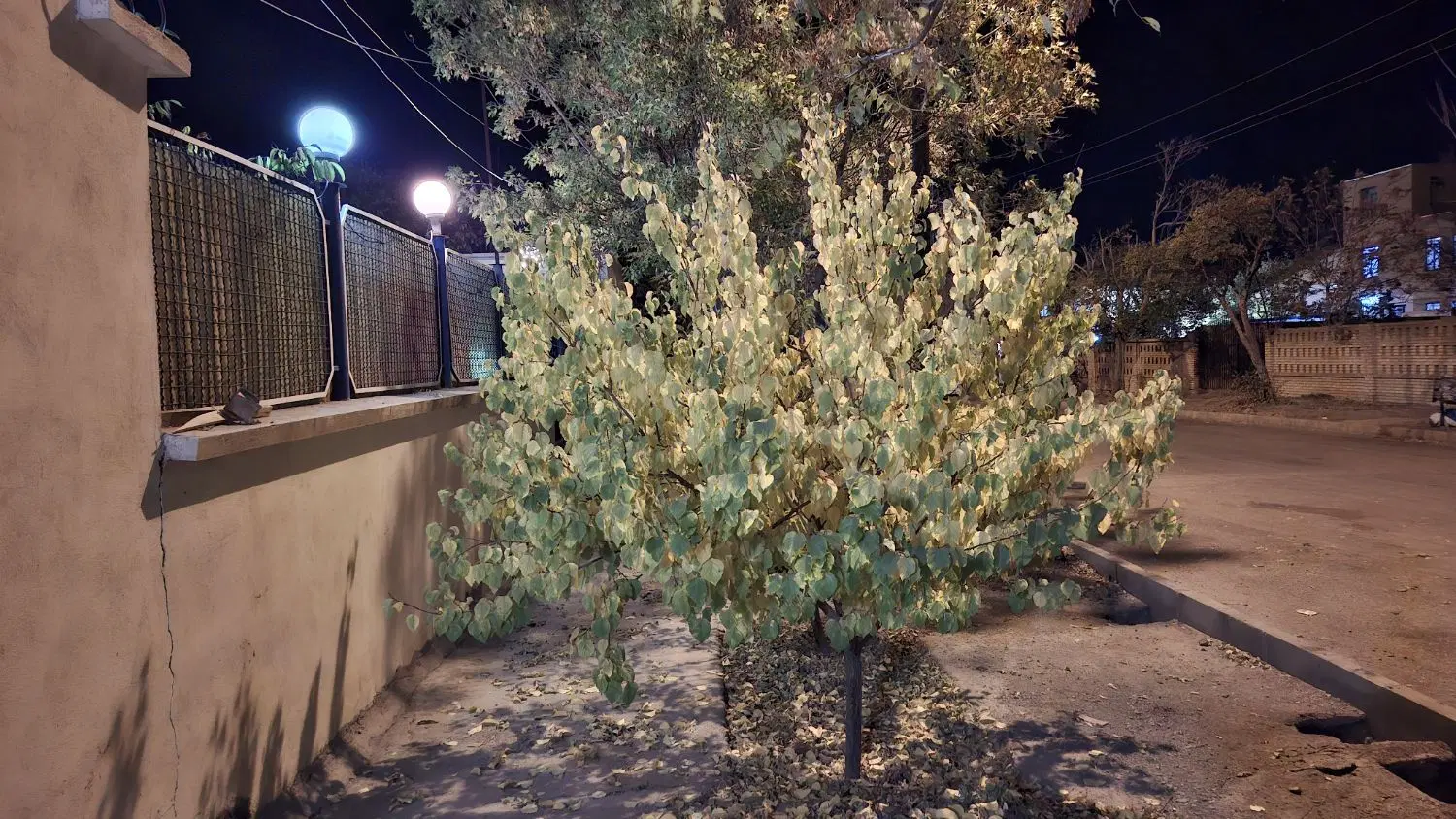 سوله واقع درشهرک صنعتی بوعلی