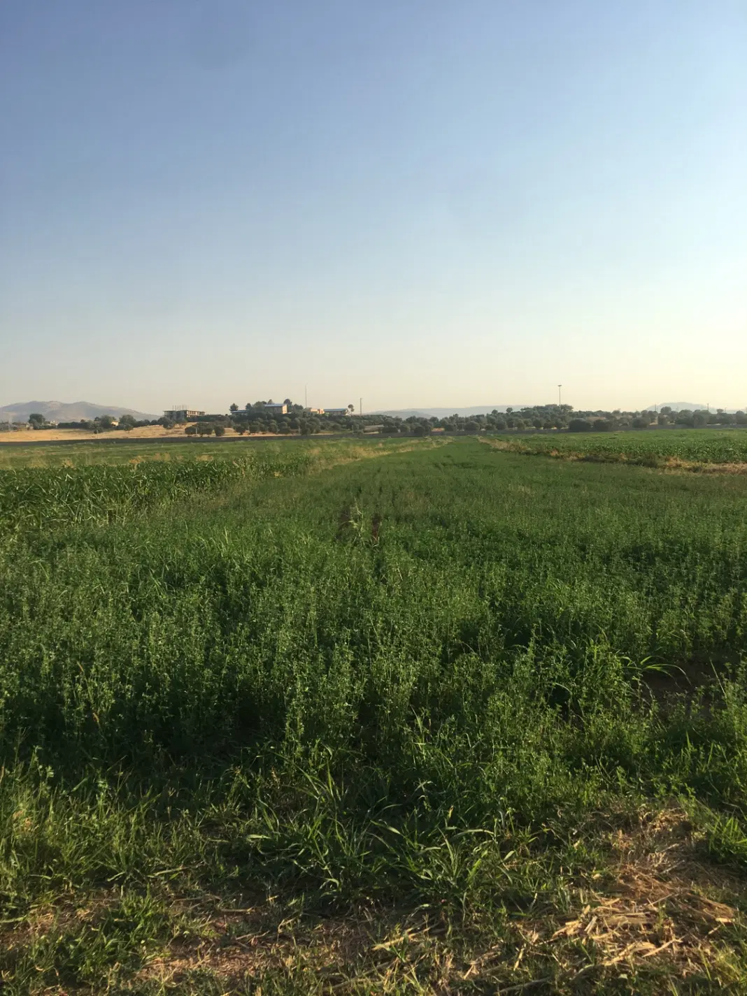 زمین مناسب باغ و ویلا