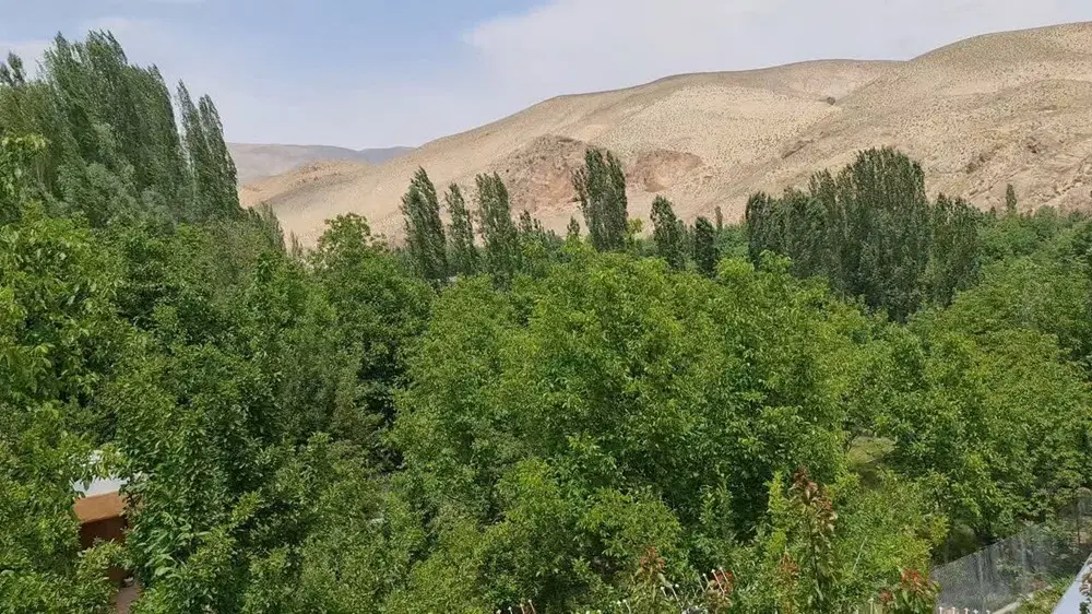 زمین ۴دیواری گلزار