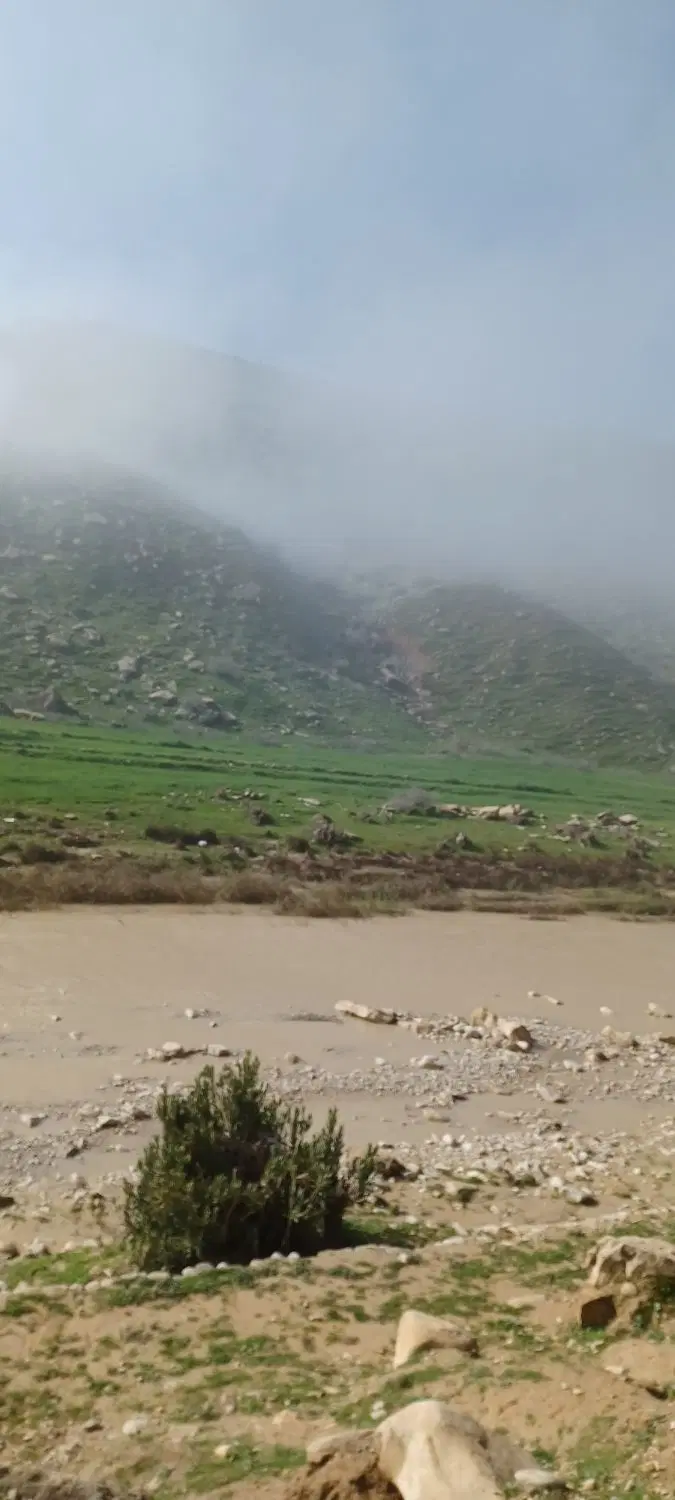 زمین مسکونی