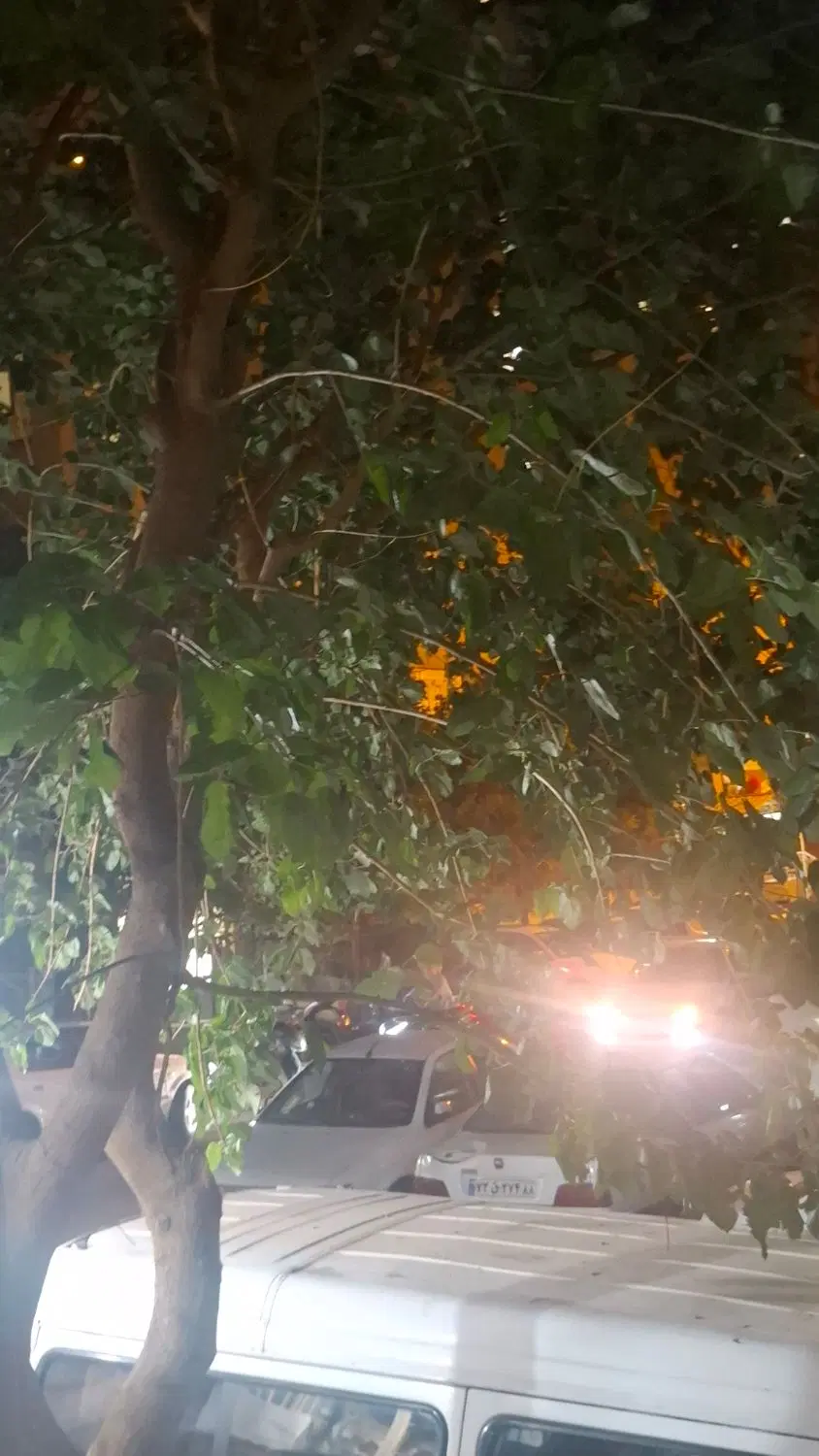 63متر 2خواب فول بازسازی طبقه 12 مجتمع ارکیده
