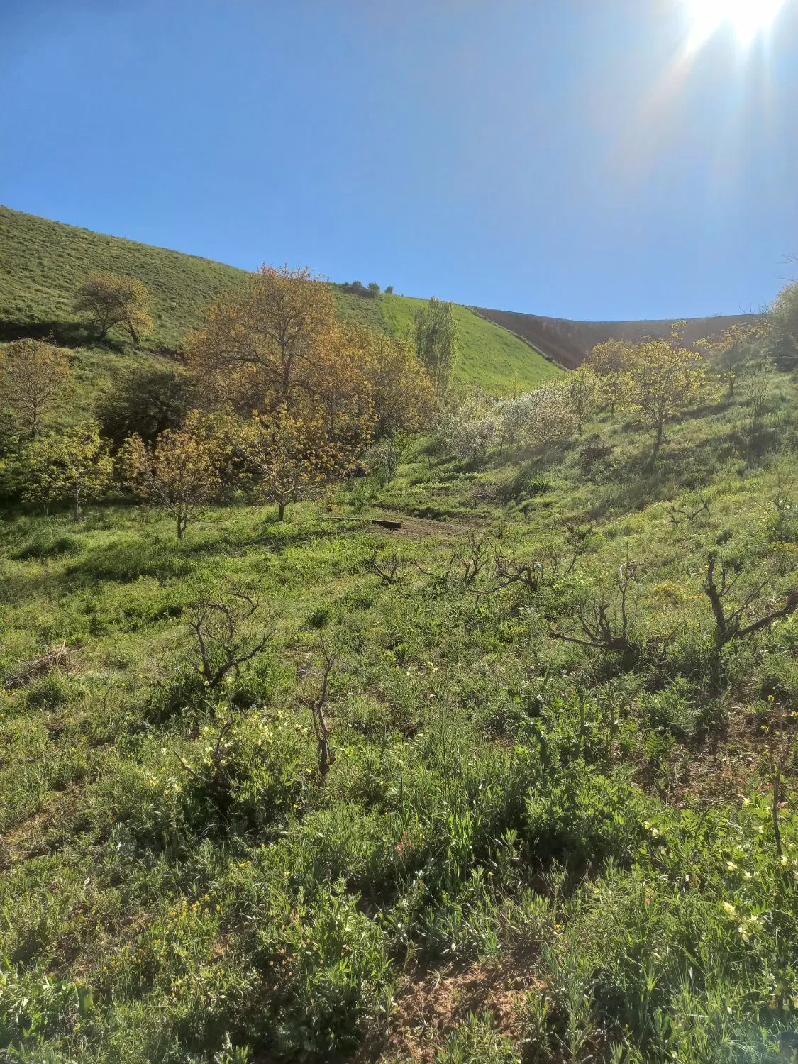 زمین فروشی
