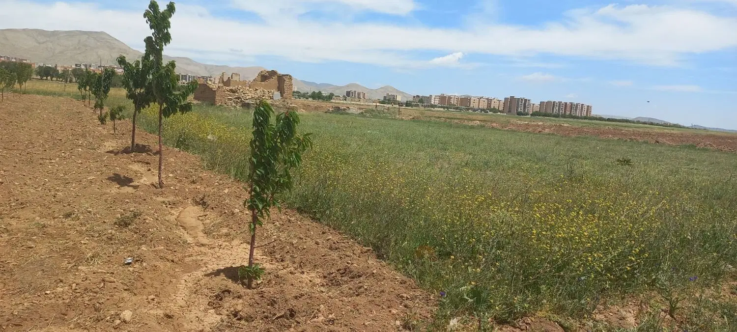 زمین باغی باآب