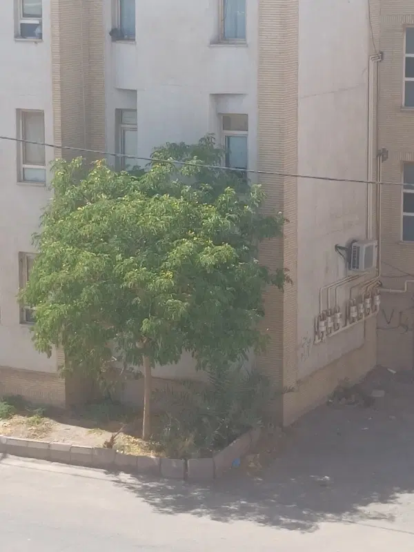 خانه فروشی فوری مناسب