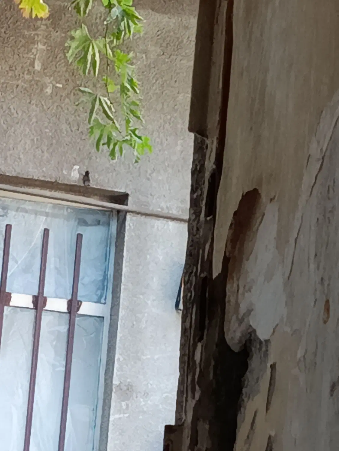 خونه کلنگی