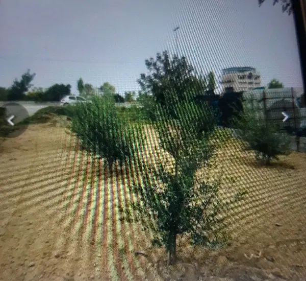 زمین ۳۴۰ متری جنب پمپ بنزین مقدم