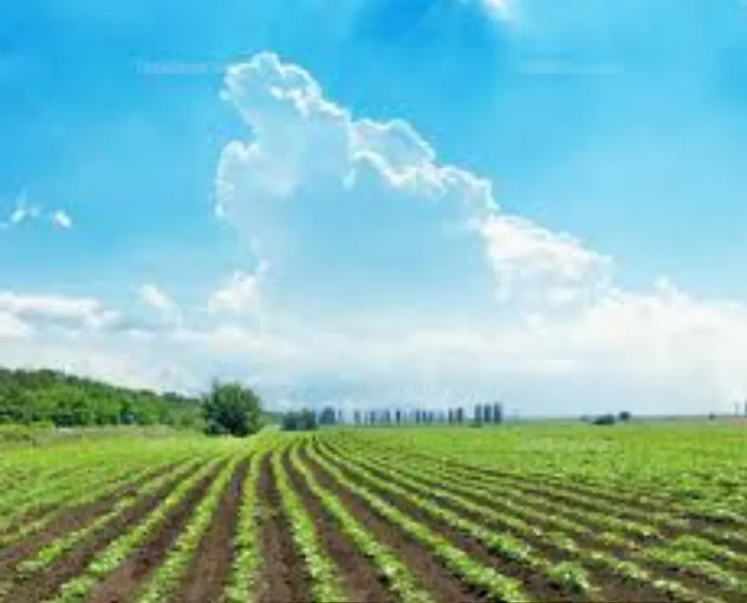 دوقطعه زمین کشاورزی یکی ۵۰۰متریکی هزارمتر