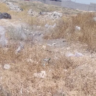 920متر زمین کشاورزی گورک خورشیدی