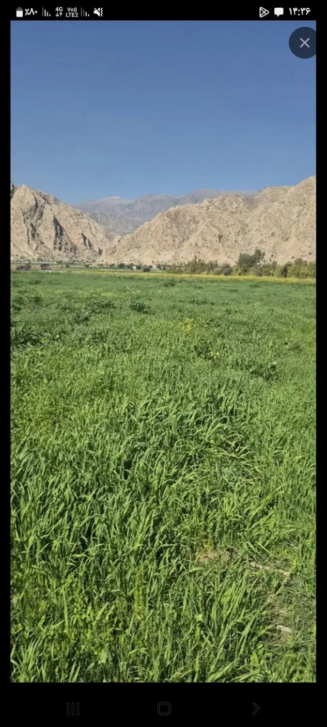 ۱۰۰۰متر زمین بعداز فرودگاه
