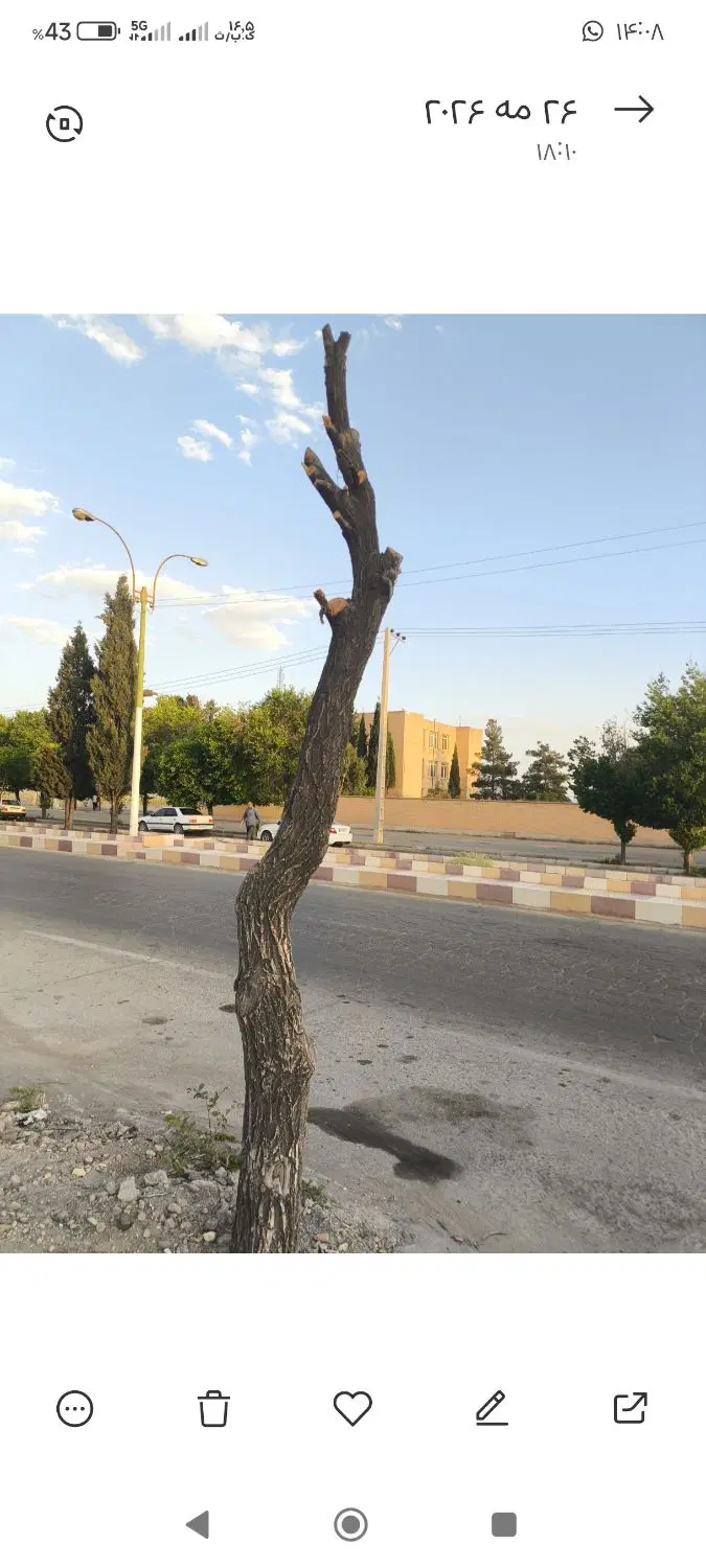 زمین 300متری روبروی ایران خودرو