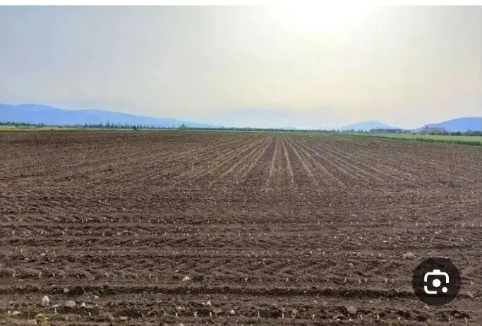 زمین تجاری . ویلایی