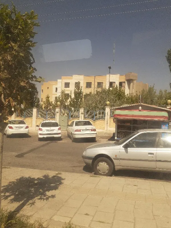 فیش زمین اطبا