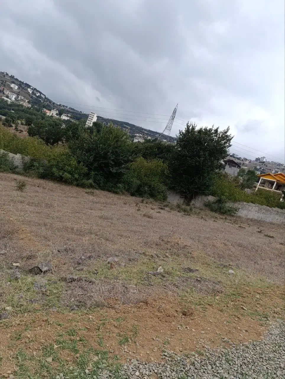 زمین