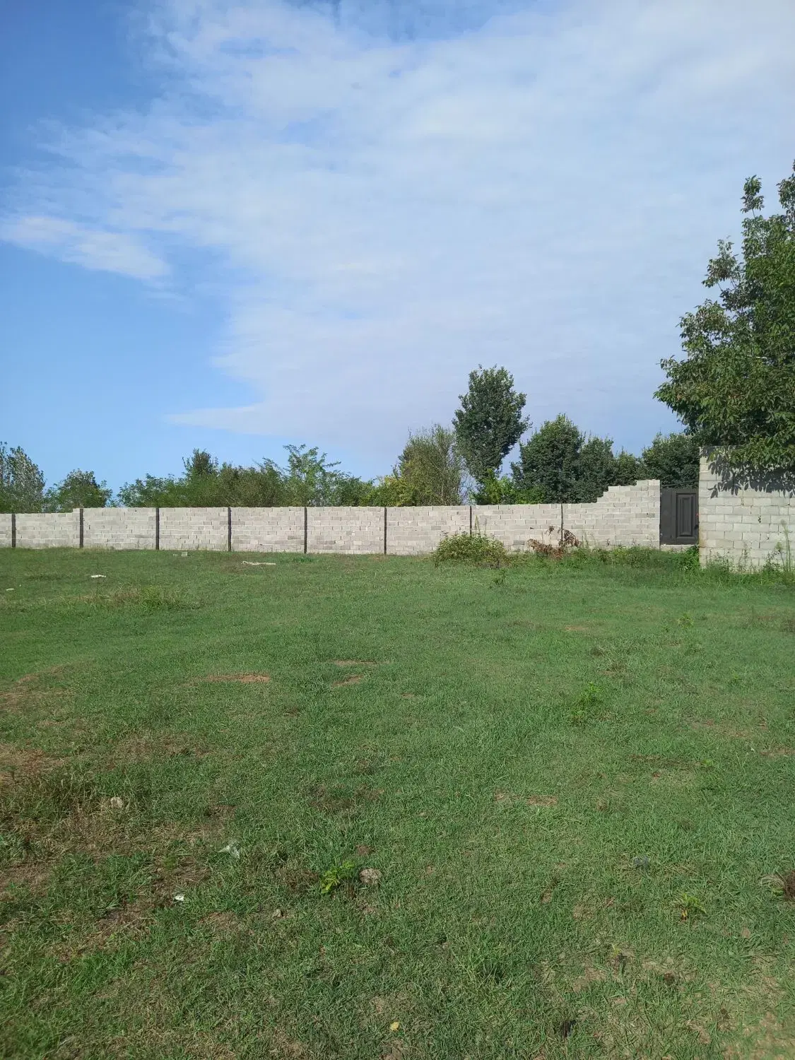 فروش زمین باغی