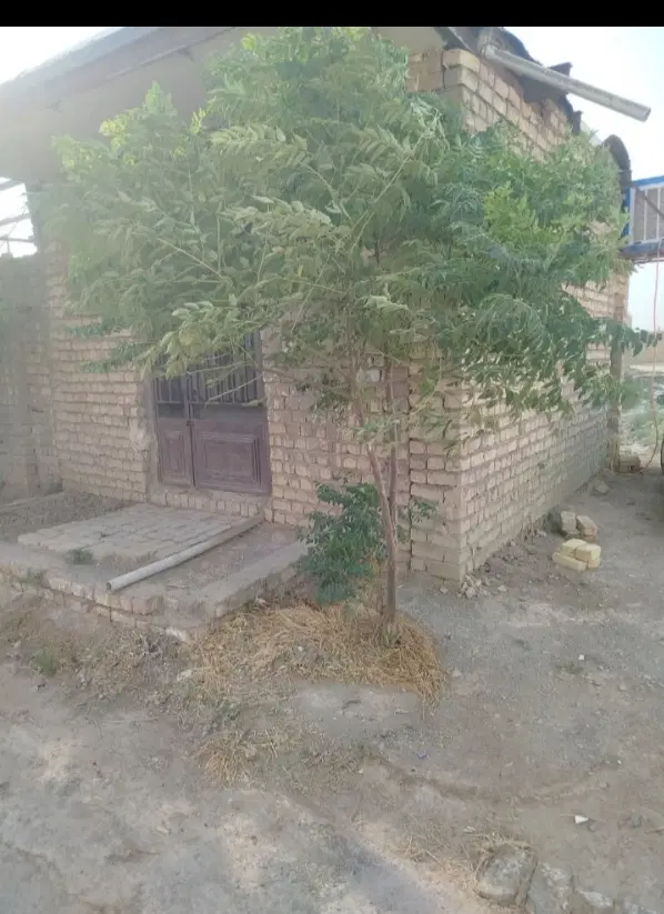 زمین جعفریه