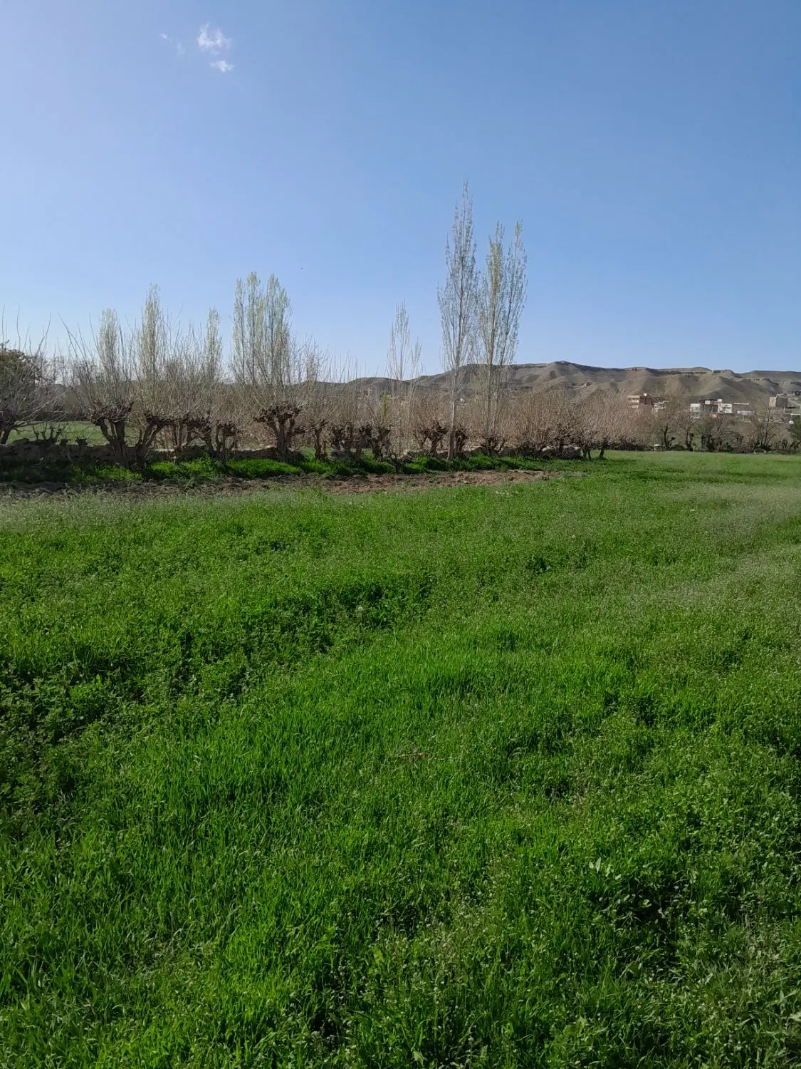 خریدخانه