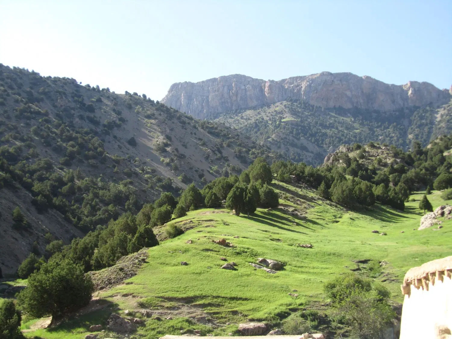 زمین خوب جنگل گلستان