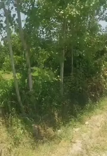 باغ 3500 متری چسبیده به بافت