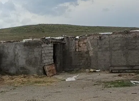 اجاره دامداری گاوداری