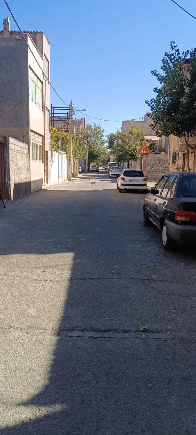 چهاردیواری ۸۰ متری
