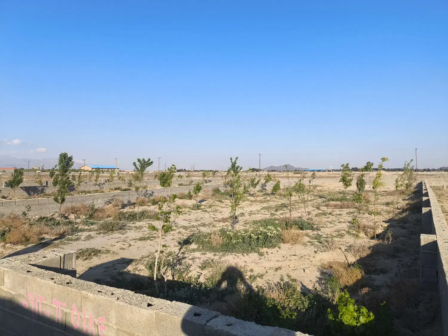 باغچه صفادشت ملارد