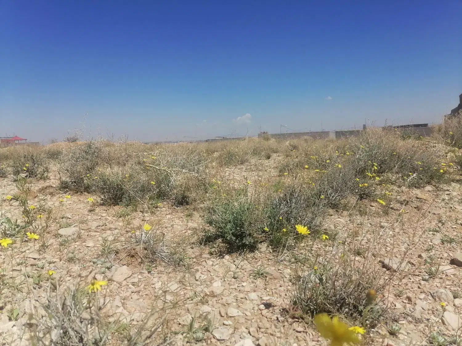 زمین شهرک جوپارستان