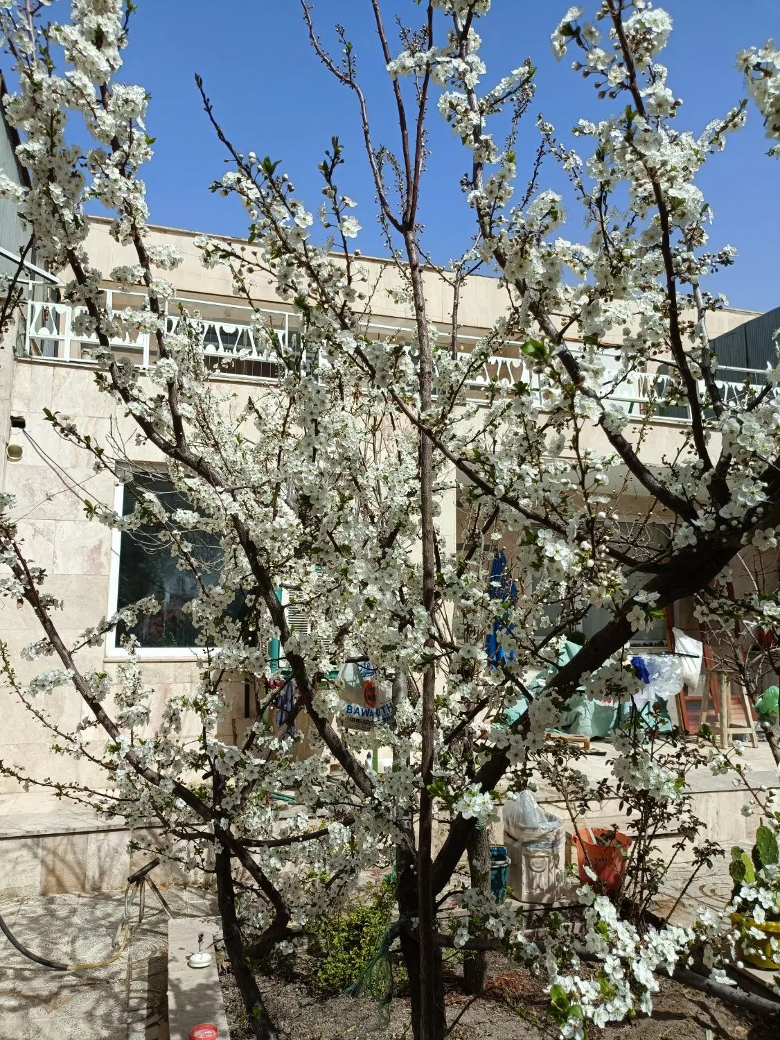 فروش ساختمان