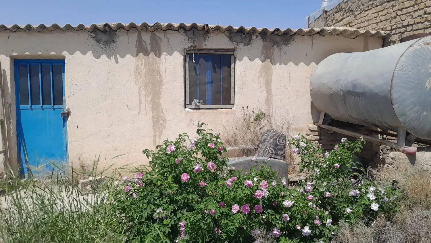 باغچه