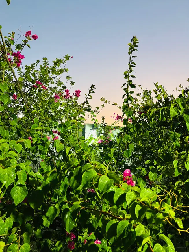 باغ اجاره روزانه