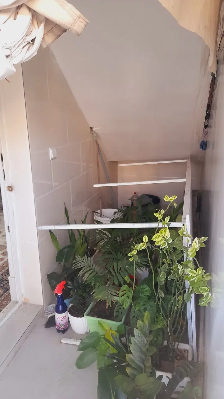 رهن واجاره سوئت مسکونی در زیباشهر پارس یک