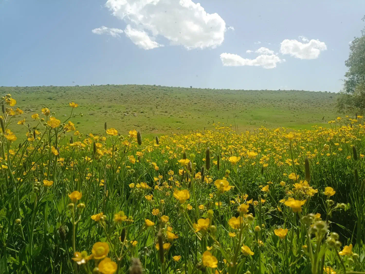 فروش زمین بلهزار