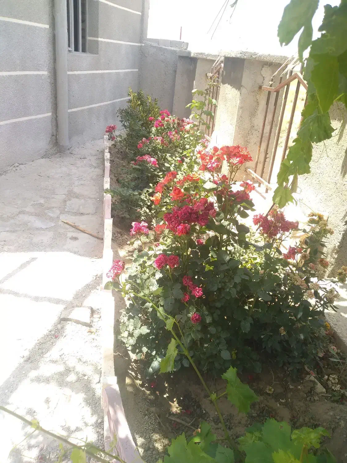 فروش باغ