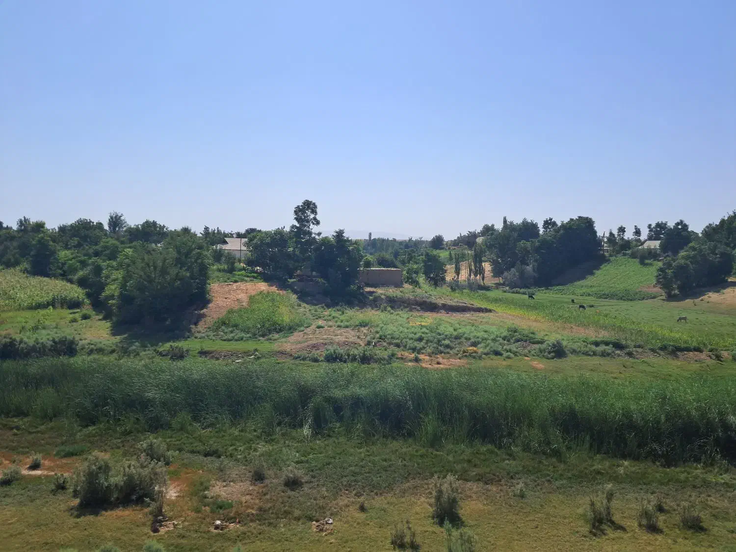 زمین مسکونی ۲۰۰ متر
