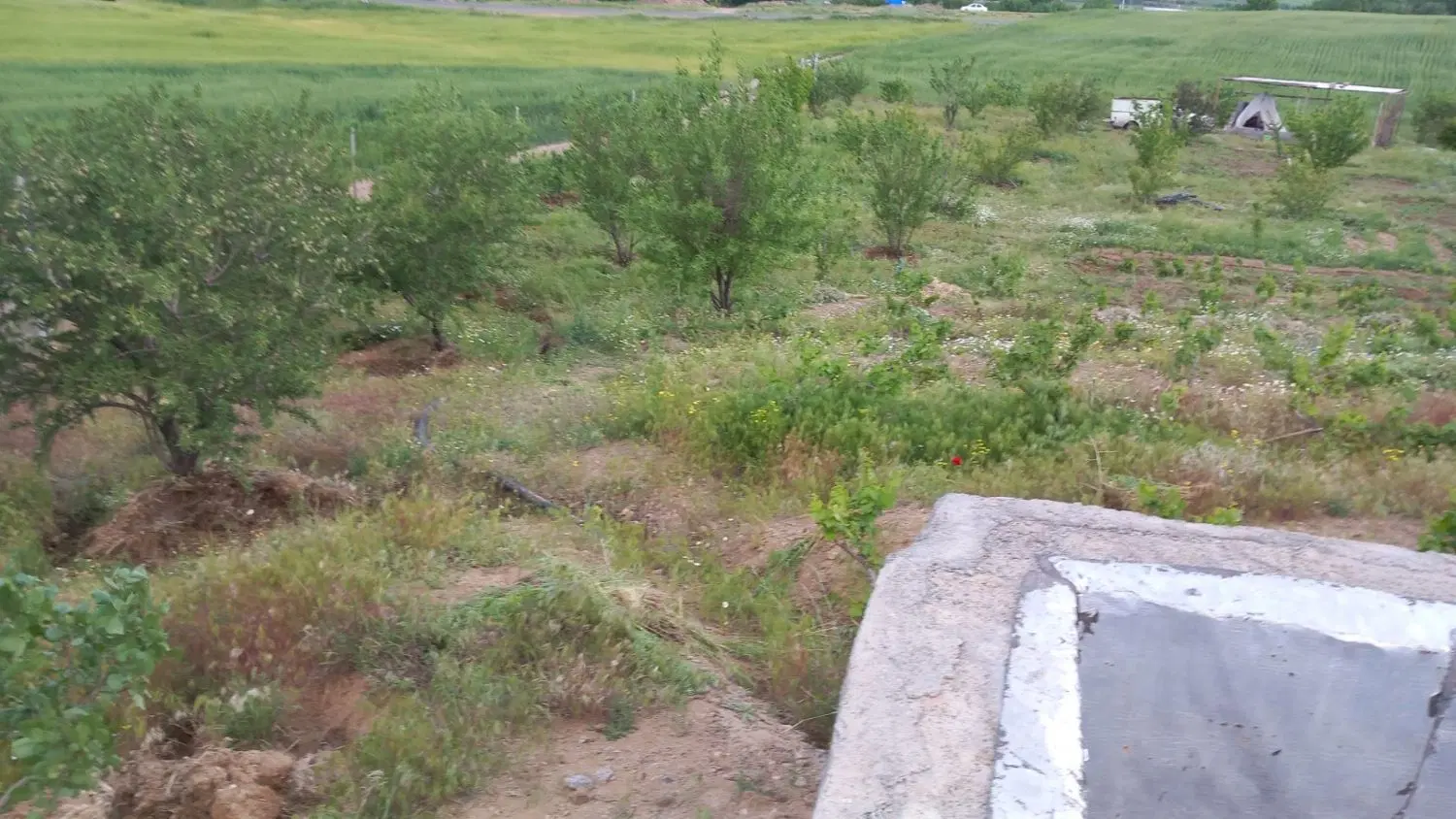 باغ ۱۷۰۰ متری