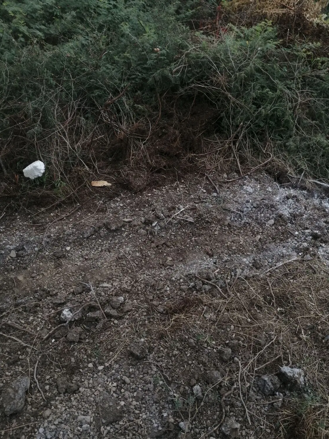 زمین تجاری بر اصلی روستای کاکا