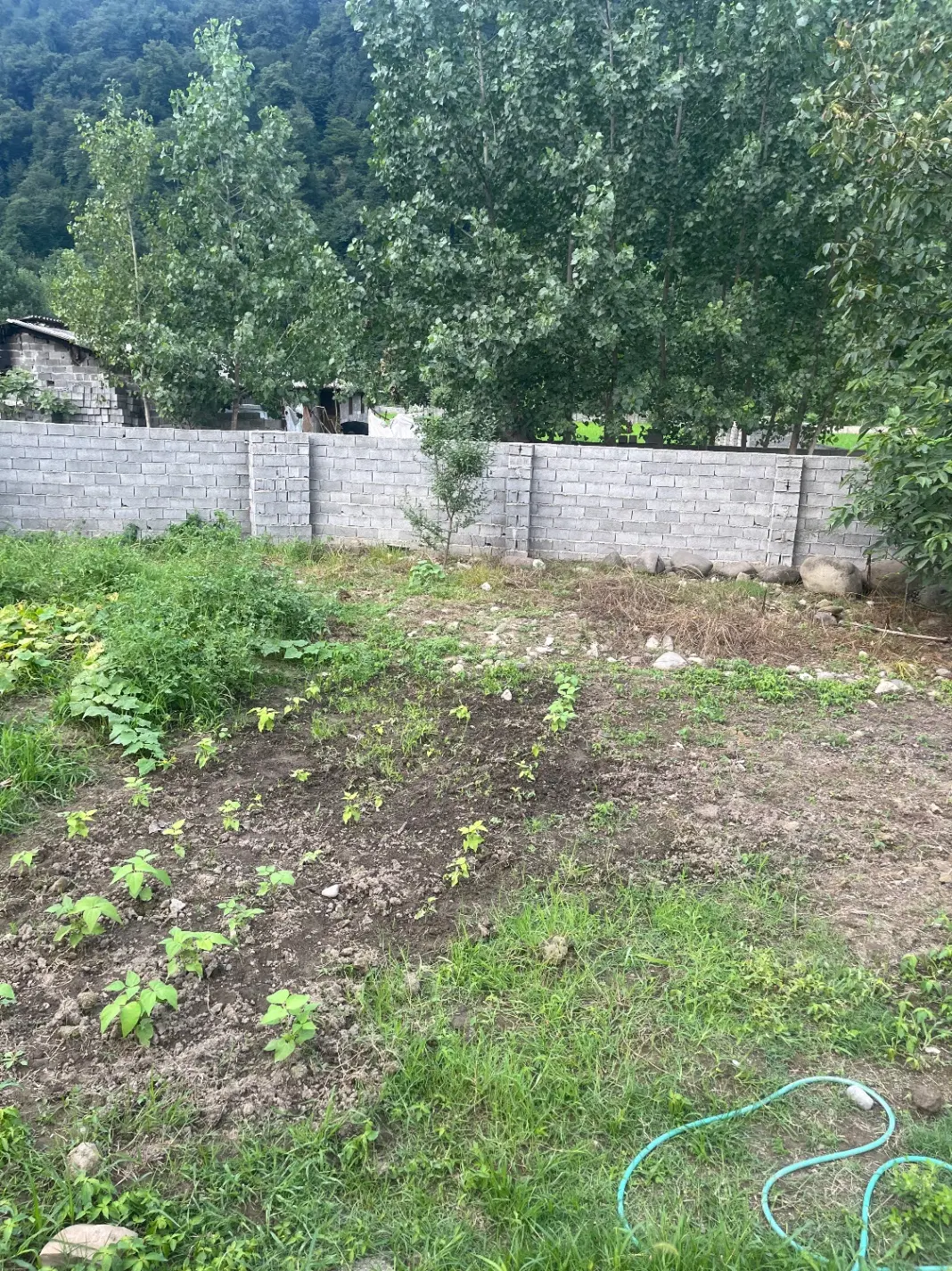 زمین مسکونی خارج از روستای رزکه
