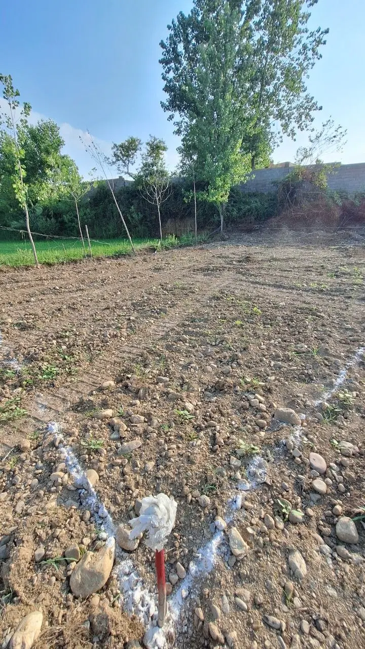 زمین  250 متری