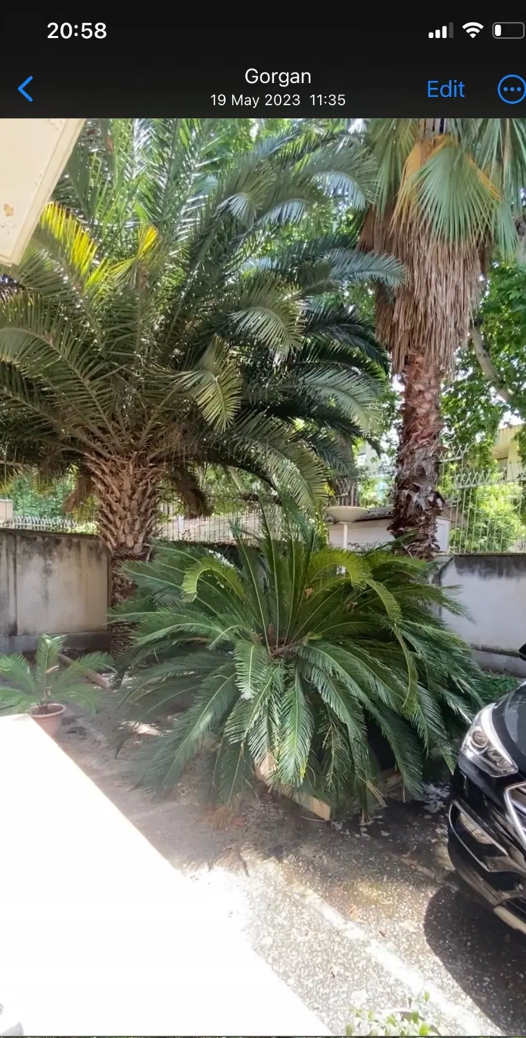 ۳۴۰ متر ویلایی ،گرگانپارس، خیابان دی ،کوچه ارکیده