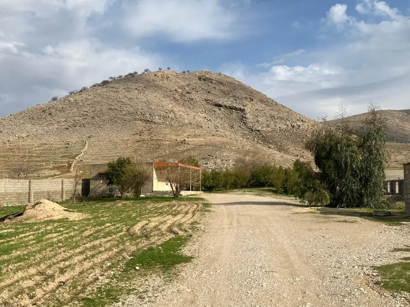 فروش مرغداری ۲۰ هزار تایی