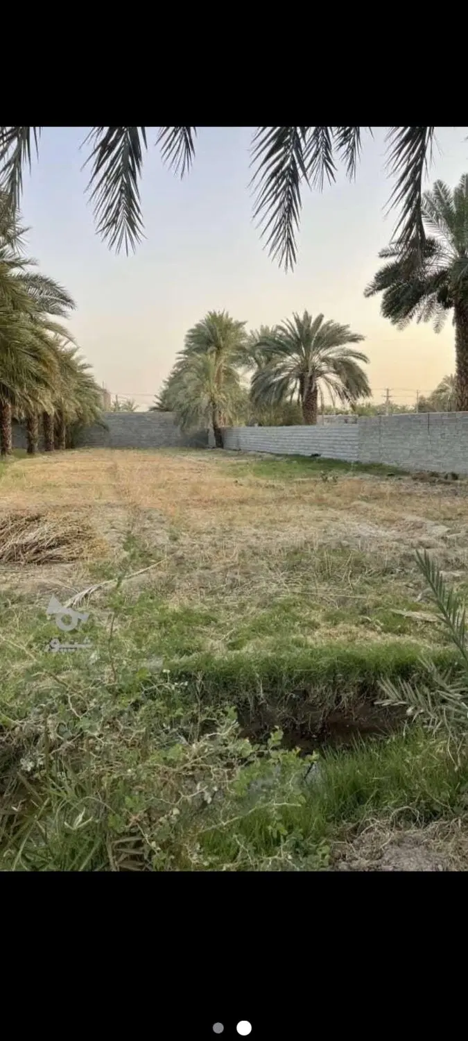فروش فوری زمین