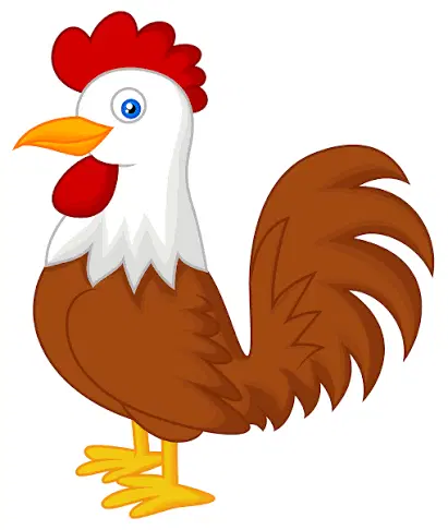 فروش مرغداری