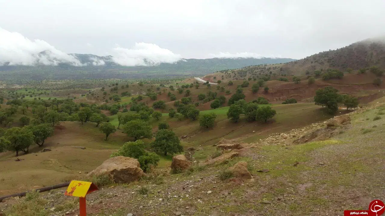 زمین کشاورزی